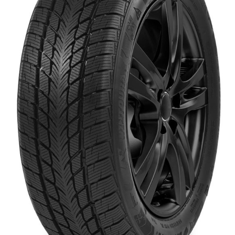 Davanti 195/65 R15 Wintoura 91T TL