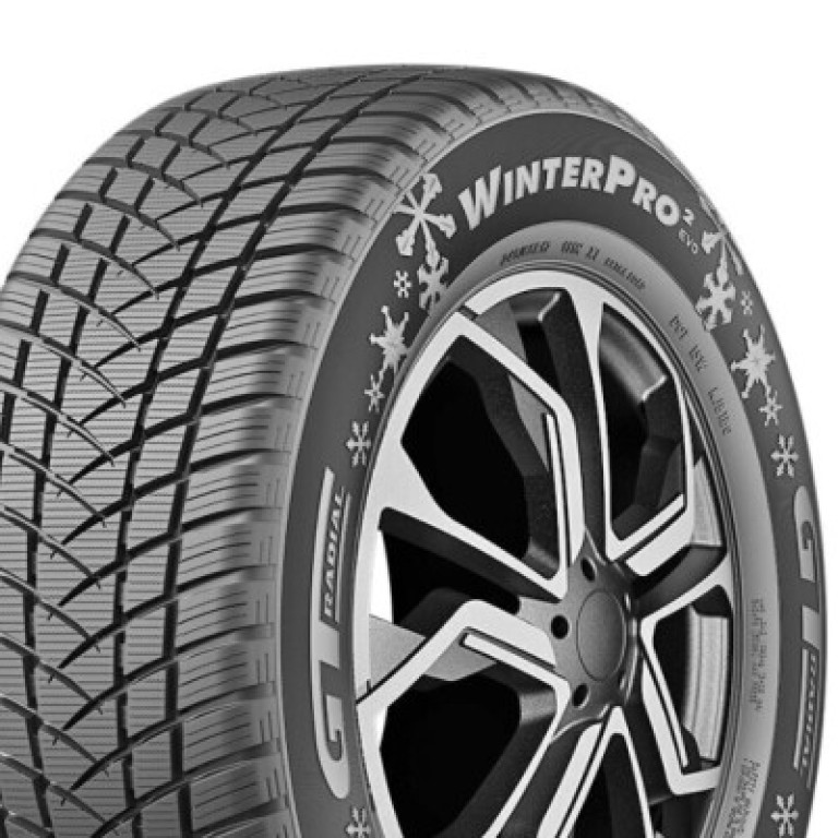 GT Radial 205/55R16 91H Winterpro2 Evo